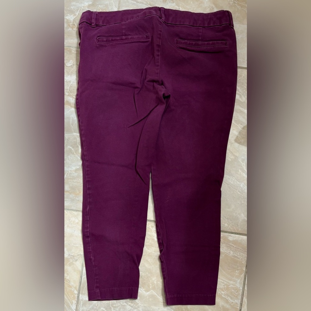 Maroon Pixie Pants - image 2